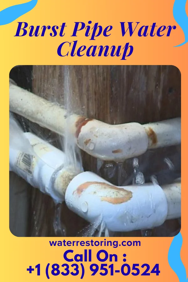 Burst Pipe Water Cleanup in Paden City, WV