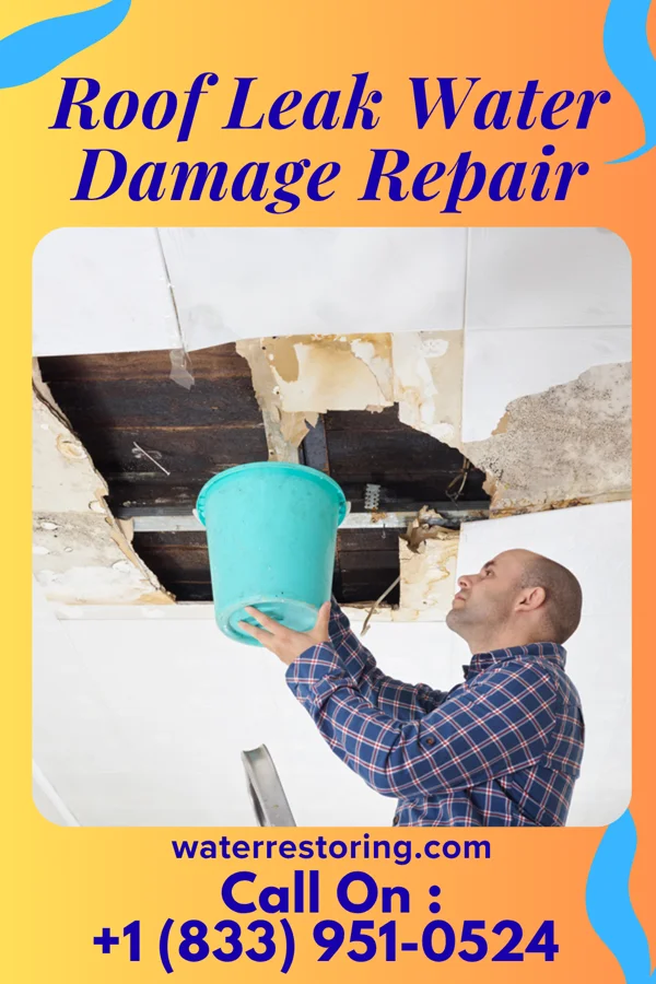 Roof Leak Water Damage Repair in Paden City, WV