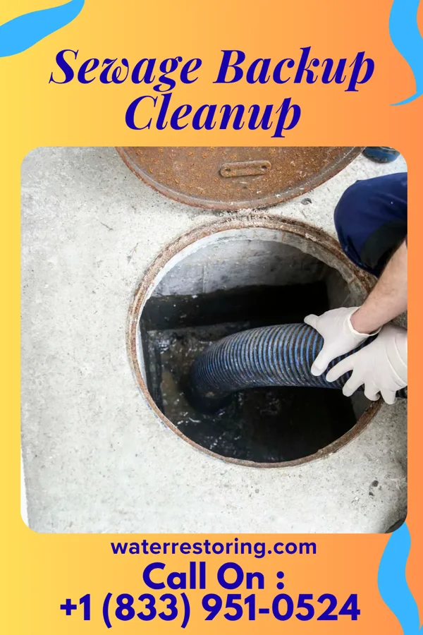 Sewage Backup Cleanup in Paden City, WV