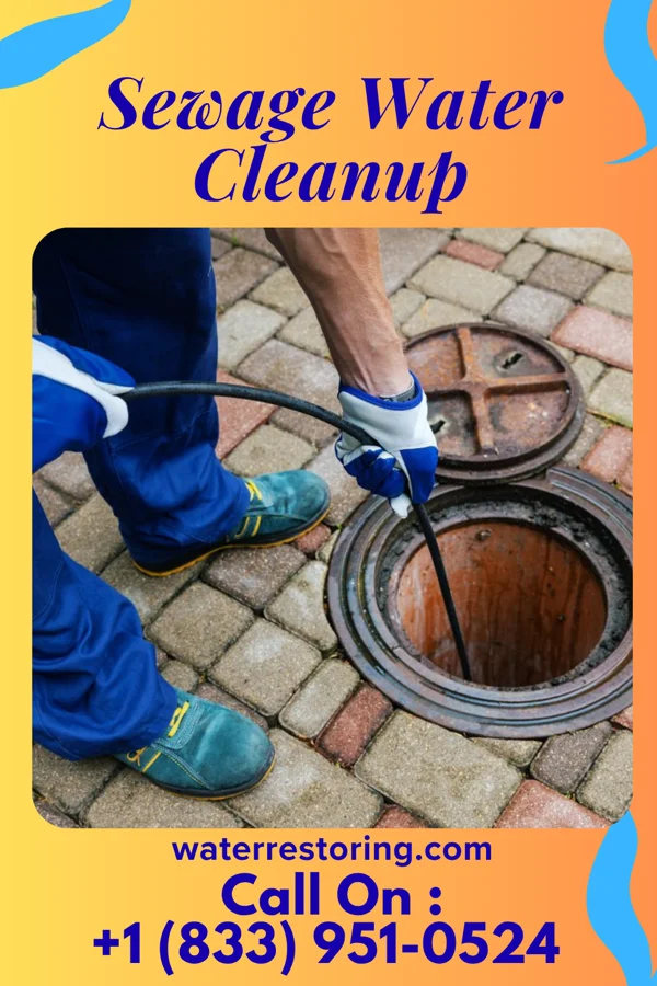 Sewage Water Cleanup in Paden City, WV