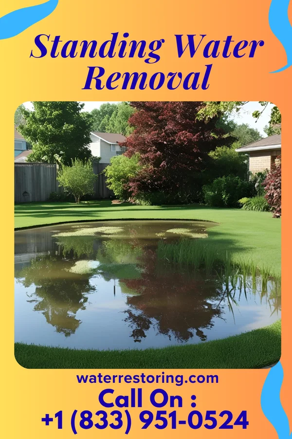 Standing Water Removal in Paden City, WV